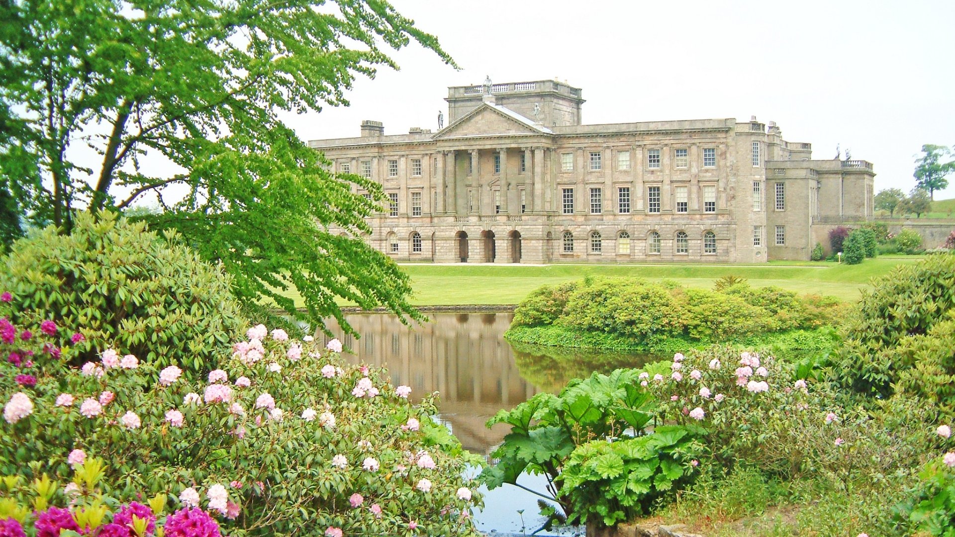 Download Man Made Lyme Park HD Wallpaper