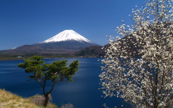 nature Mount Fuji HD Desktop Wallpaper | Background Image