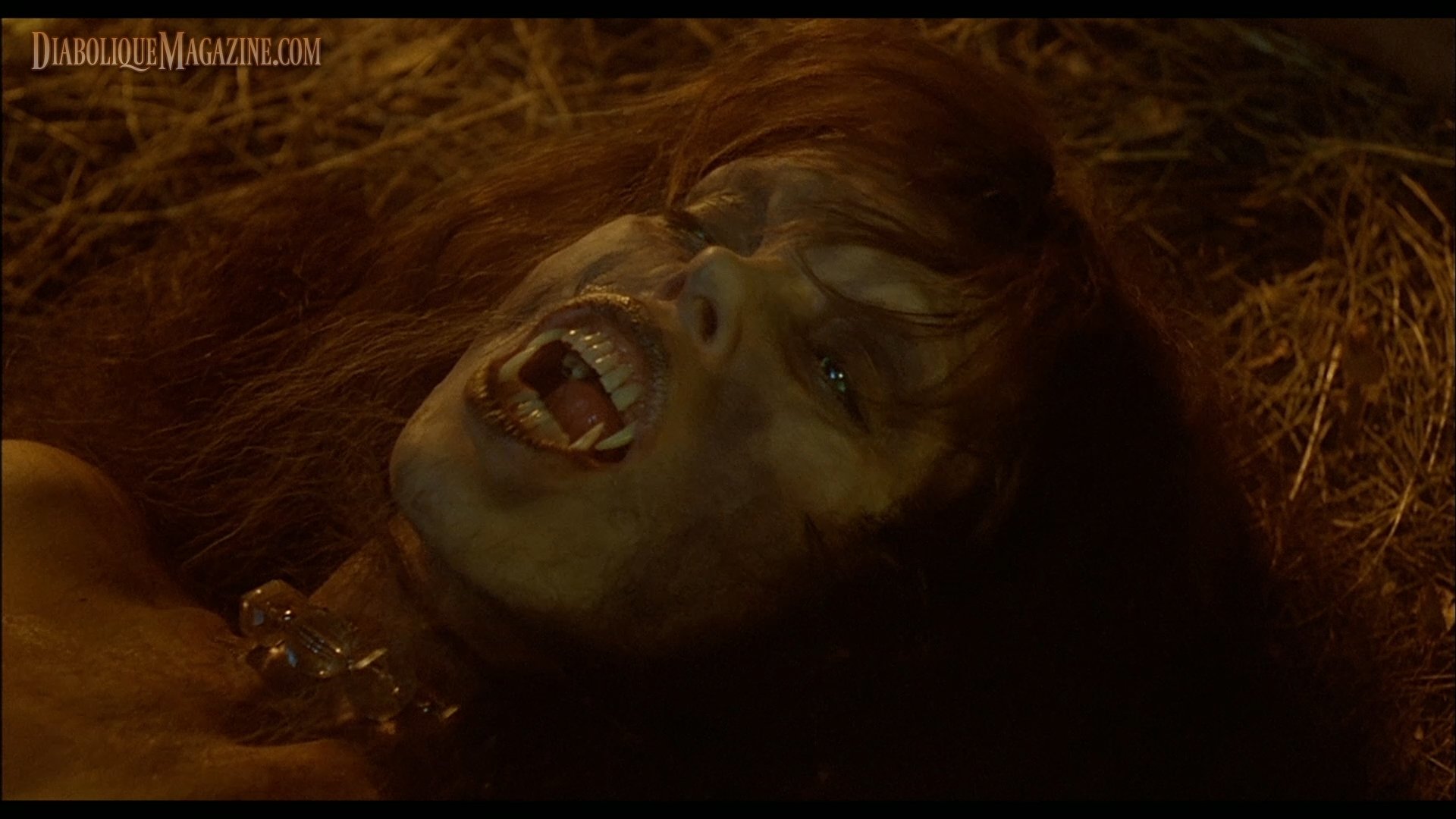 Download Movie The Howling HD Wallpaper