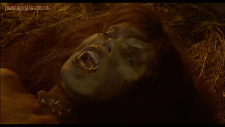 movie The Howling HD Desktop Wallpaper | Background Image