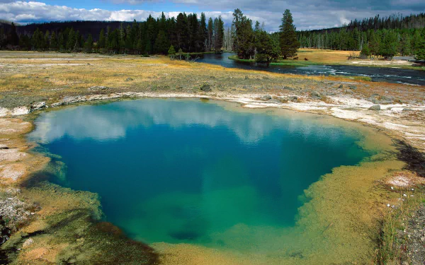 A tranquil scene of a colorful hot spring in Yellowstone, surrounded by lush greenery and a clear sky, showcasing the natural beauty of this iconic national park.