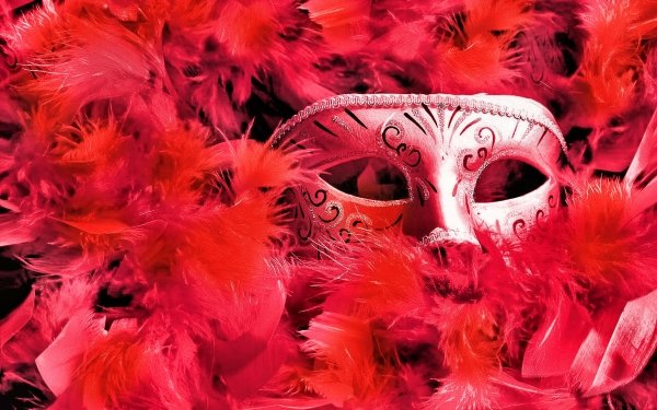 Photography Mask Feather Red HD Wallpaper | Background Image