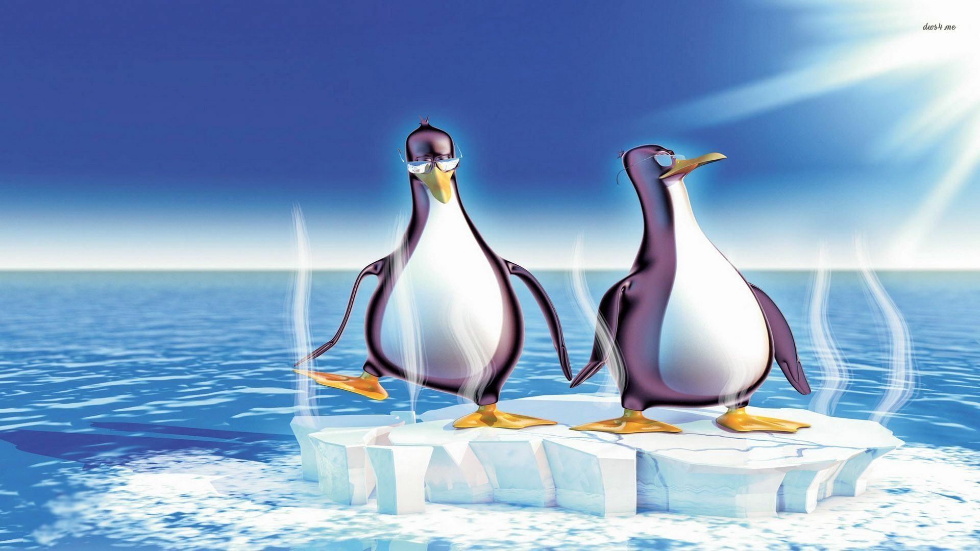 Download Bird Animal Penguin HD Wallpaper