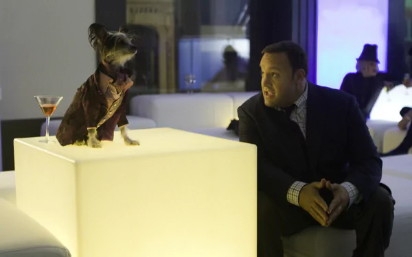 Kevin James Zookeeper (Movie) movie Zookeeper HD Desktop Wallpaper | Background Image