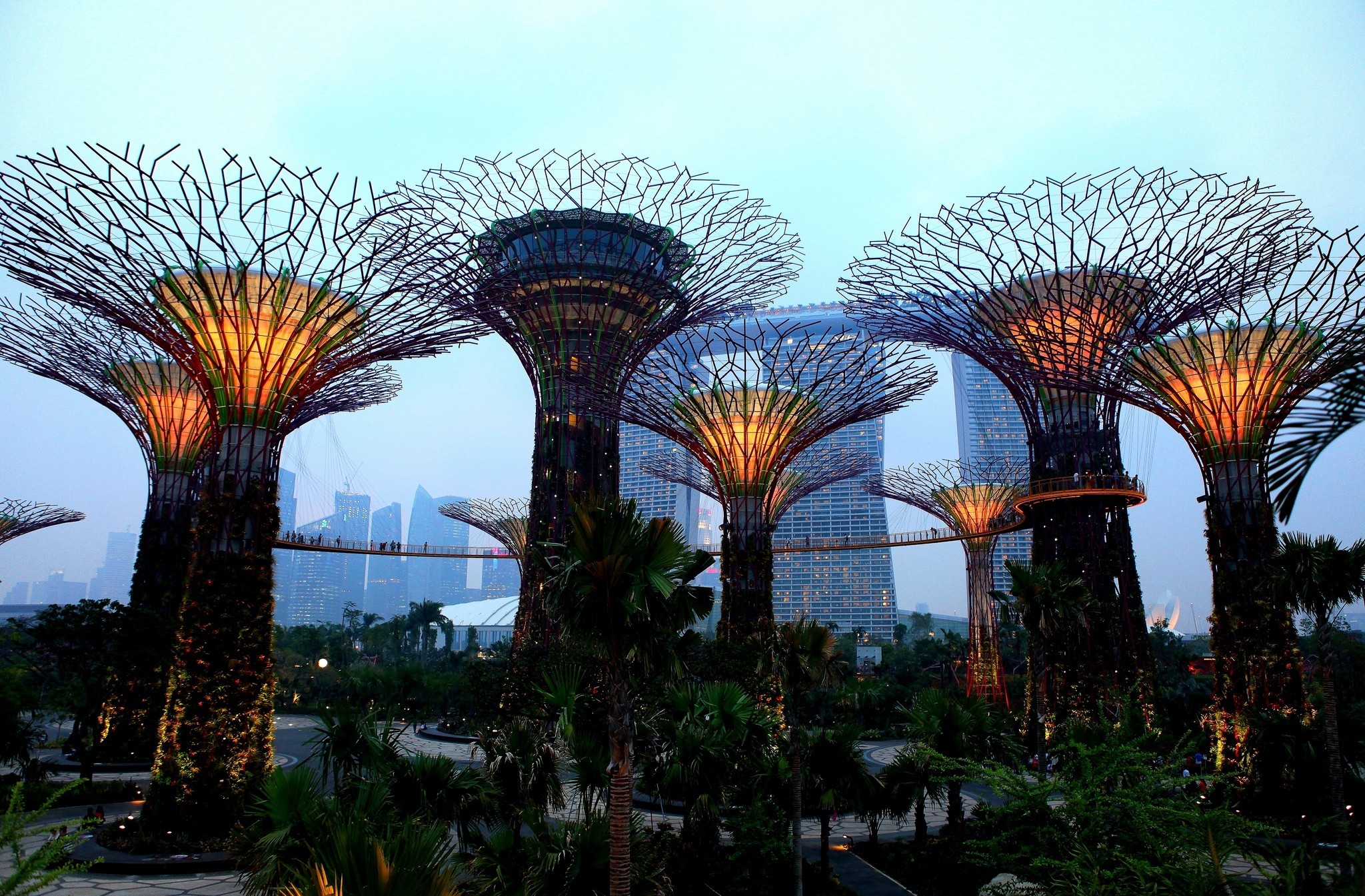 Gardens by the Bay HD Wallpaper | Background Image  