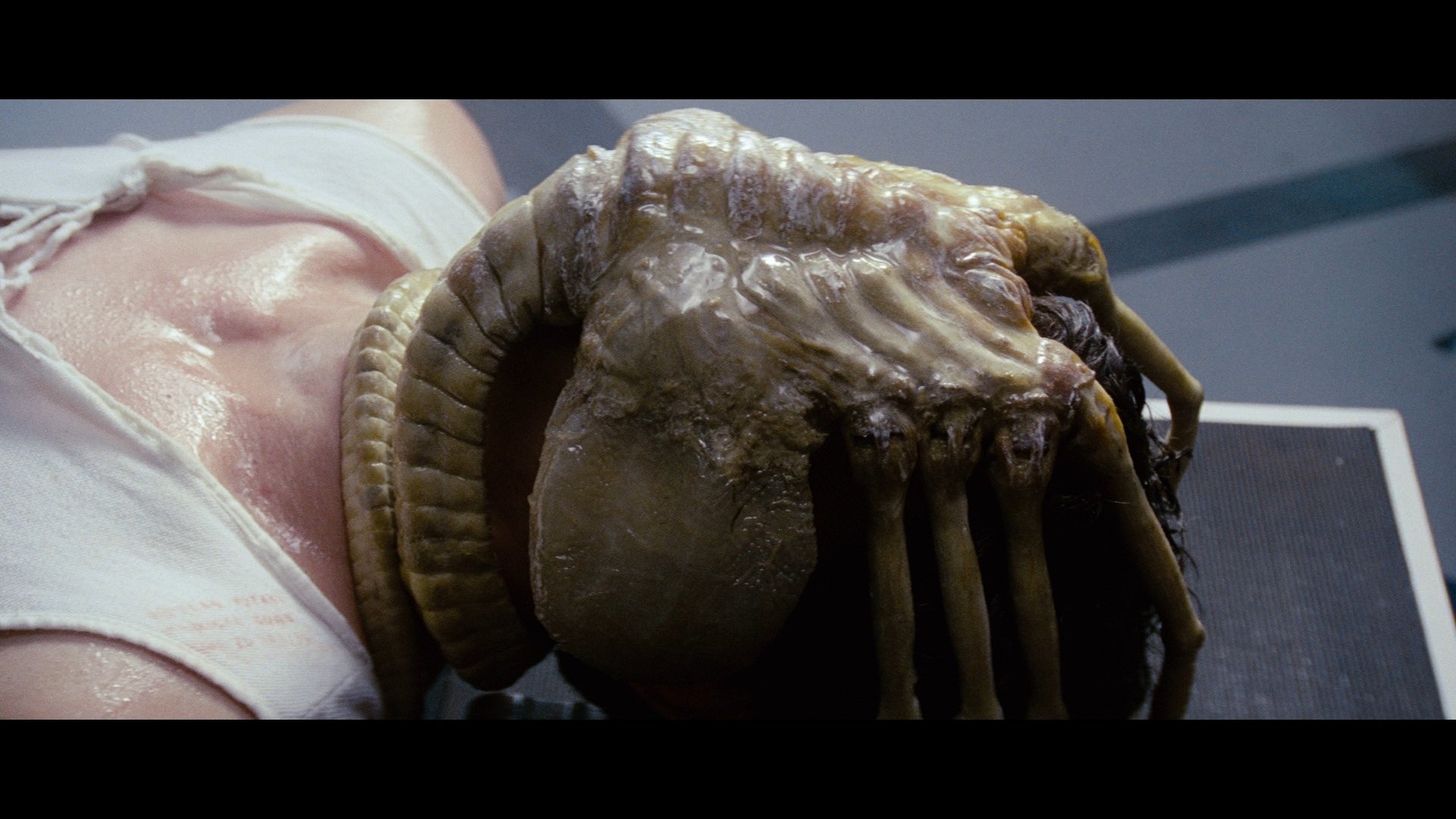 HD PC desktop wallpaper showing a close-up of the iconic alien facehugger creature from the movie Alien.