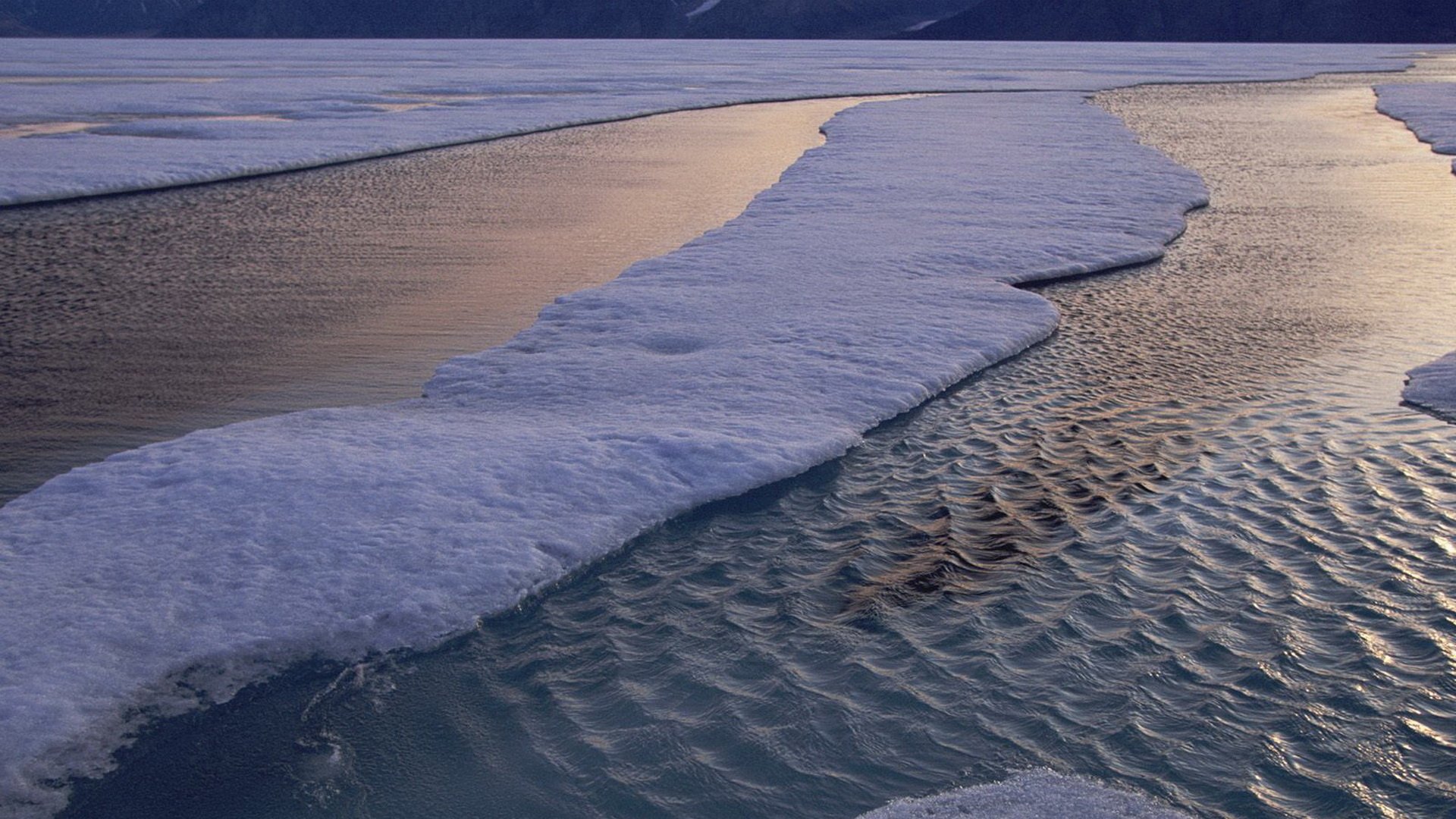 HD PC desktop wallpaper and background: nature scene of ice sheets drifting on rippled water at dusk, purple-gold light reflecting off the icy surface.