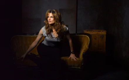 actress Canadian Celebrity Stana Katic HD Desktop Wallpaper | Background Image