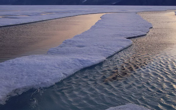 HD PC desktop wallpaper and background: nature scene of ice sheets drifting on rippled water at dusk, purple-gold light reflecting off the icy surface.