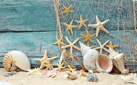 HD desktop wallpaper showing various seashells and starfish arranged on sand against a weathered turquoise wooden background with a fishing net.