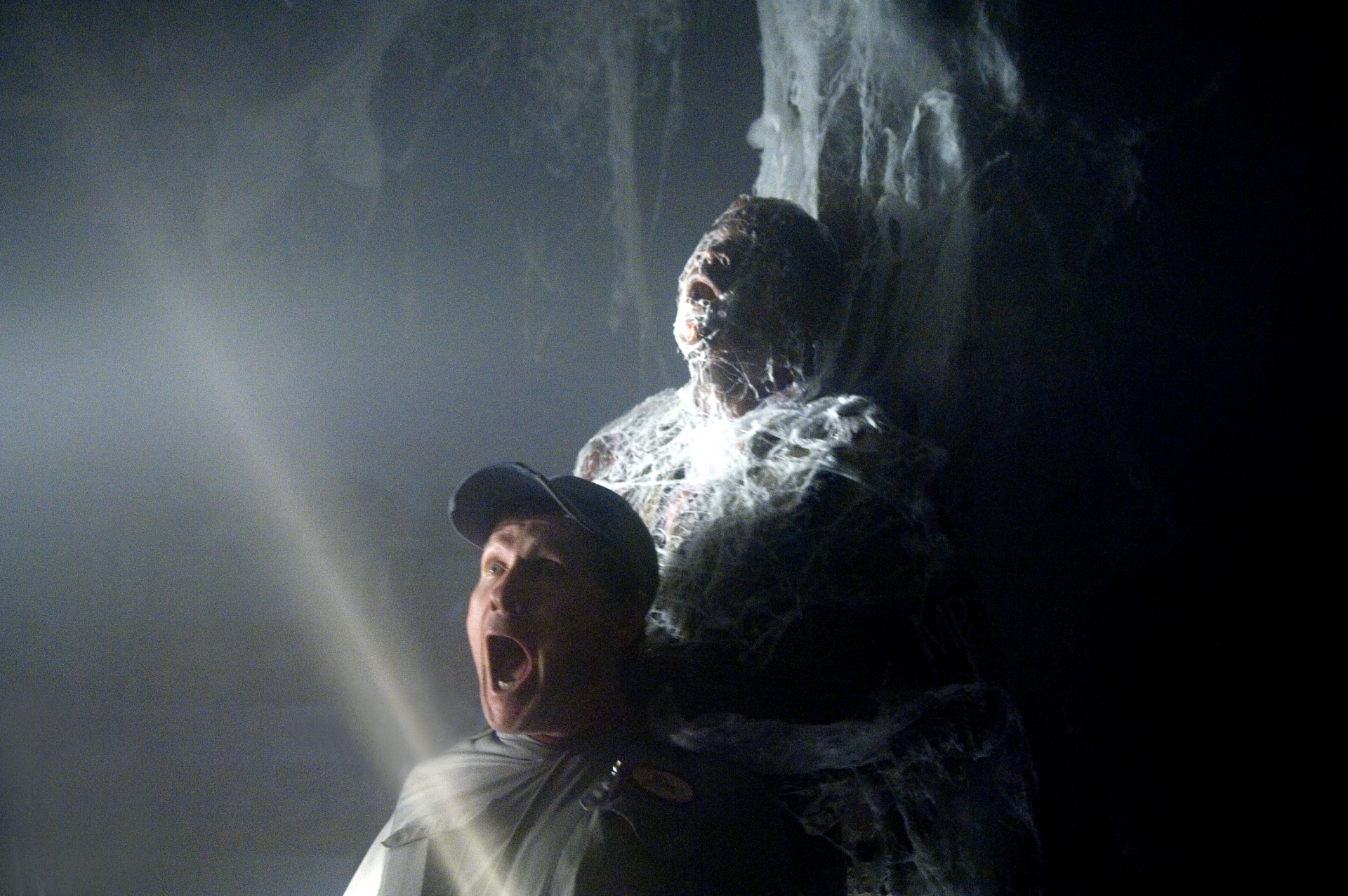 Download Movie The Mist HD Wallpaper