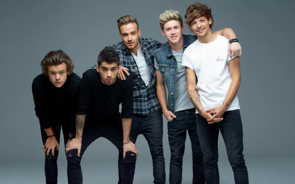 HD desktop wallpaper and background image featuring the music band One Direction, displaying five band members in casual outfits against a plain backdrop.
