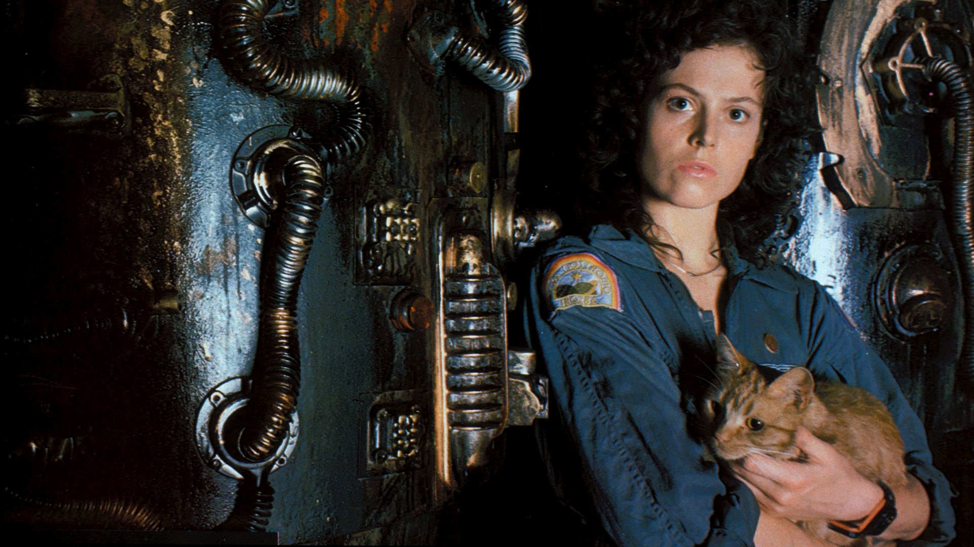 A character from the movie Alien stands confidently against a metallic backdrop, holding a cat. The image serves as a striking HD desktop wallpaper and background.