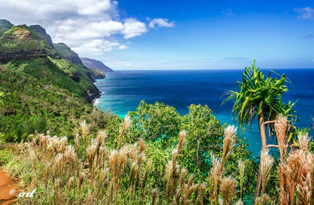 HD PC desktop wallpaper/background: a lush hill and seashore nature scene with coastal plants overlooking turquoise sea and sweeping coastline beneath a bright blue sky.