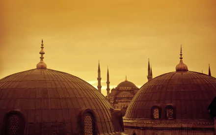  Sultan Ahmet Mosque (The Blue Mosque) in Istanbul
