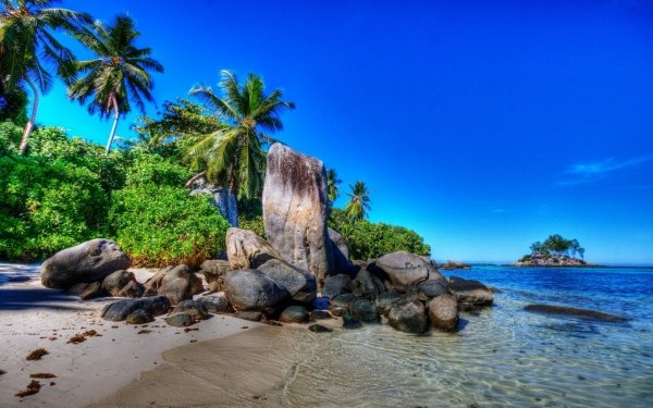Earth Seashore Sky Palm Tree Tropics HD Wallpaper | Background Image