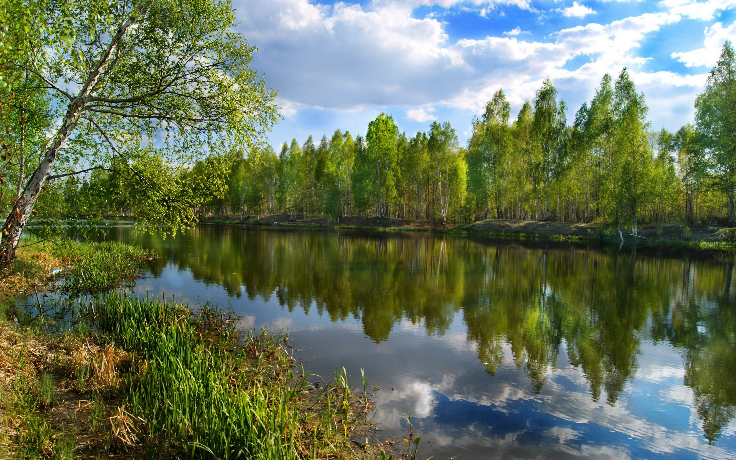 Download Nature River HD Wallpaper
