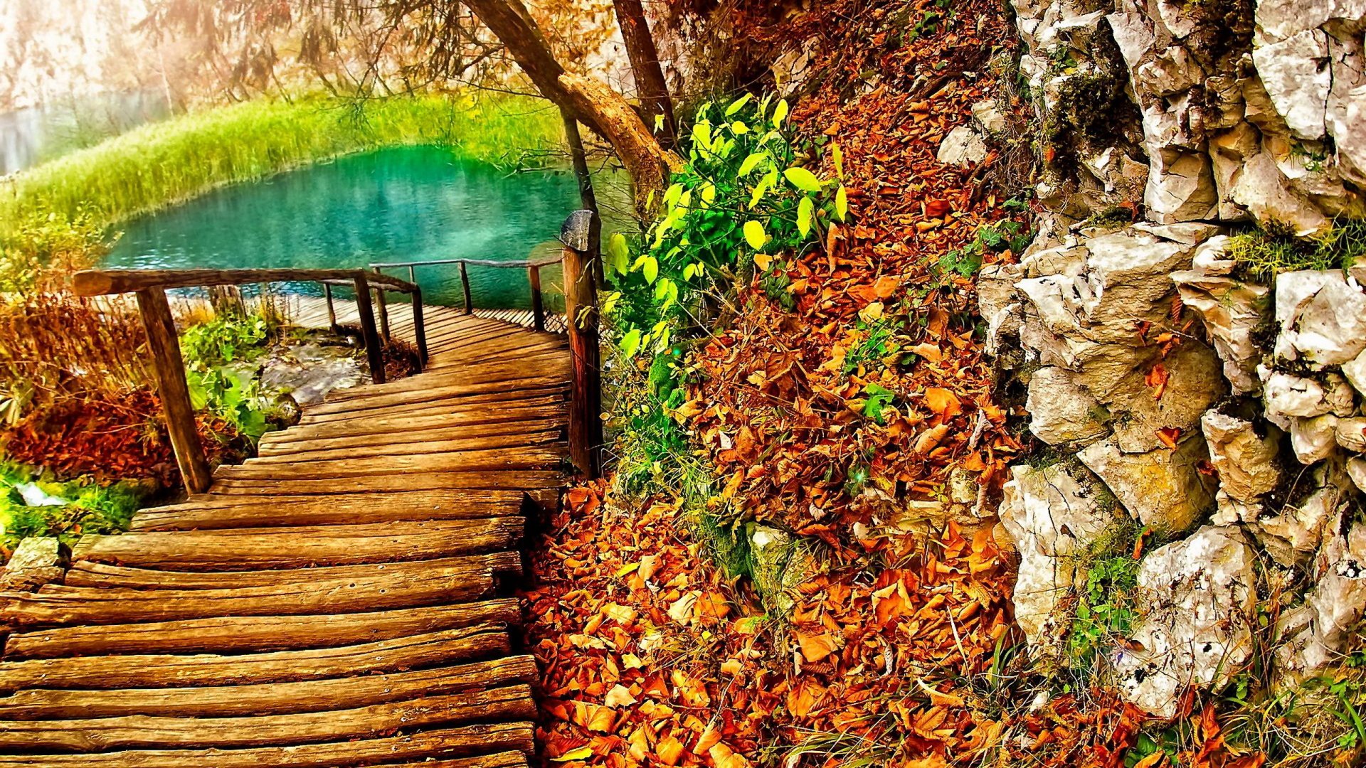 HD desktop wallpaper featuring a man-made wooden boardwalk path winding down to a vibrant turquoise pond surrounded by autumn leaves and rocky terrain.