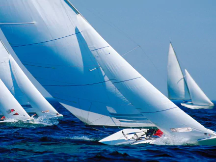 sailing Sports HD Desktop Wallpaper | Background Image