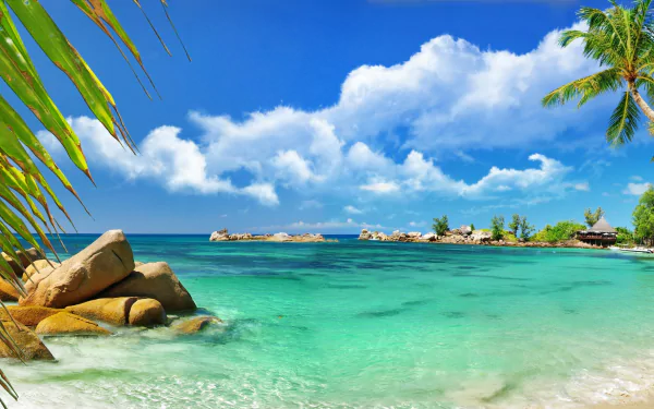 Tropical Seychelles beach featuring a serene lagoon, crystal-clear waters, and lush palm trees against a vibrant blue sky, creating a stunning HD desktop wallpaper.