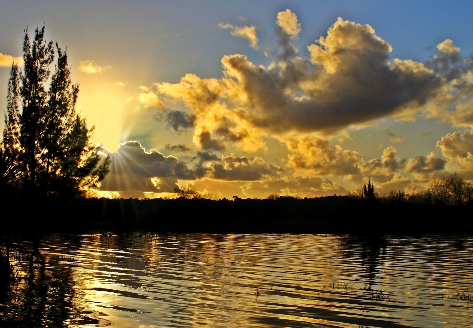 ceuvieira by ceuvieira