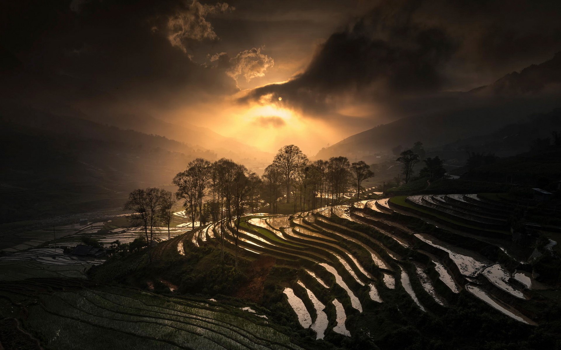 Download Man Made Rice Terrace HD Wallpaper