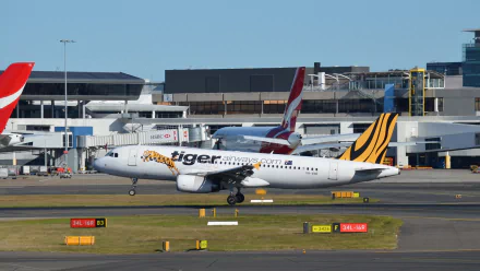 A Tiger Airways Airbus A320 aircraft taxis at Sydney Airport, captured in high-definition photography with terminal buildings in the background.