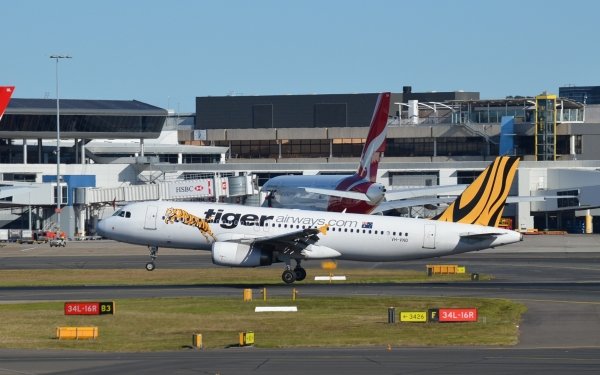 Vehicles Airbus A320 Aircraft Airbus Airplane Sydney Airport Tiger Airways Photography HD Wallpaper | Background Image