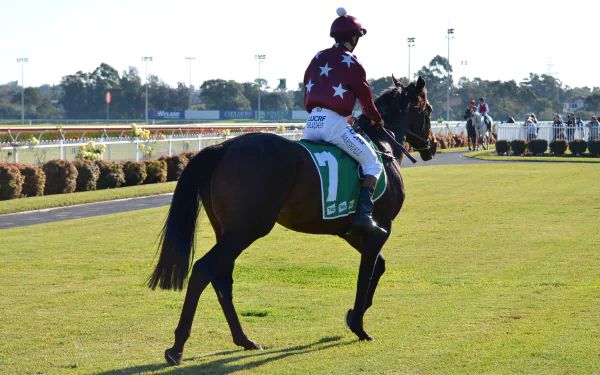 Jockey in star-patterned silks rides a horse on a lush racecourse in Sydney, captured in an HD horse racing sports wallpaper background.