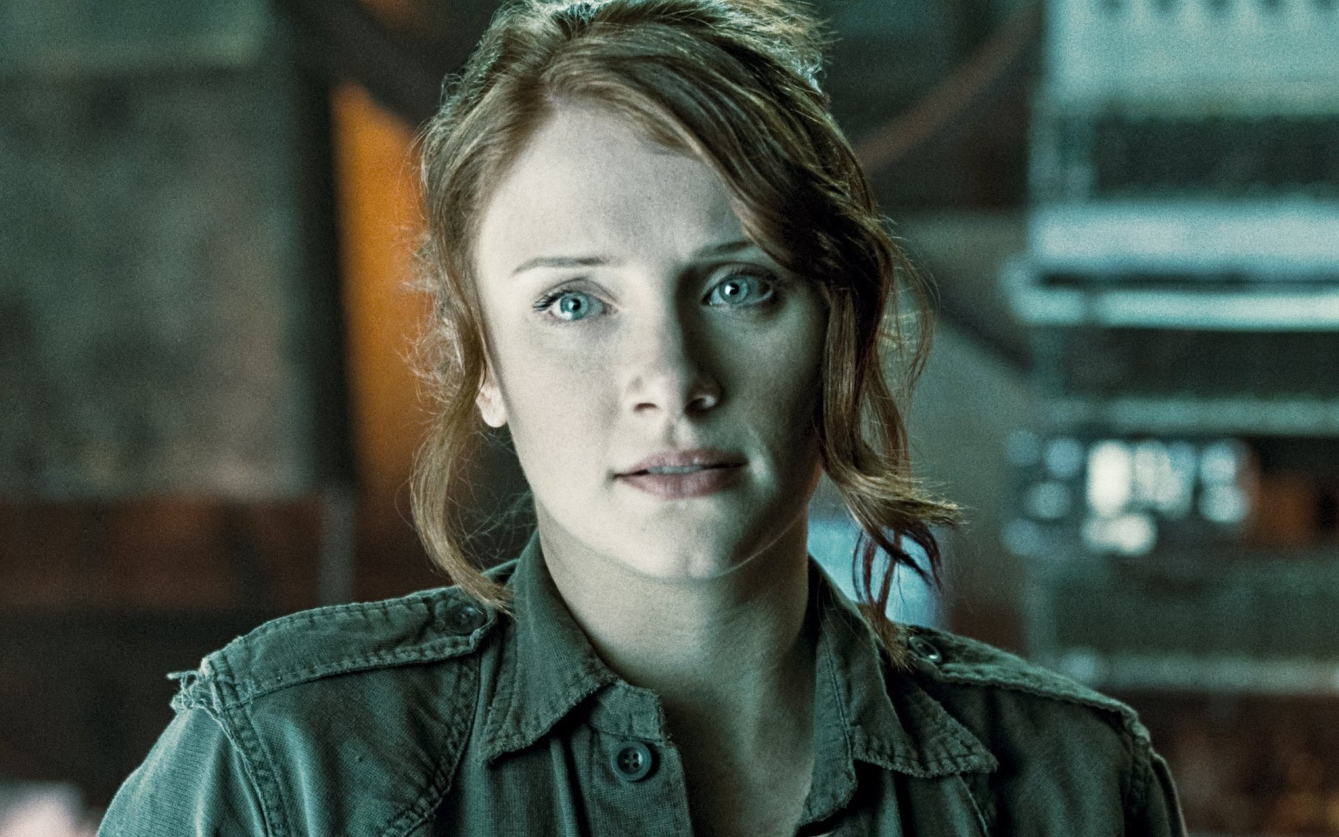 Download Actress American Celebrity Bryce Dallas Howard HD Wallpaper