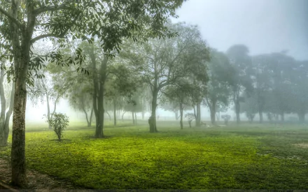 HD PC desktop wallpaper and background: fog-draped nature scene with lush green grass and rows of trees fading into mist.