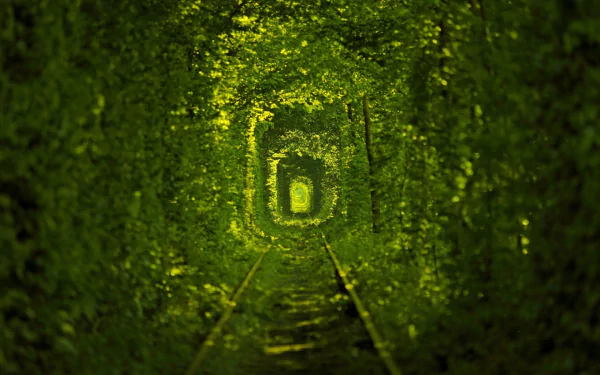 HD desktop wallpaper featuring a man-made railroad tunnel enveloped in lush green foliage, creating a natural archway.
