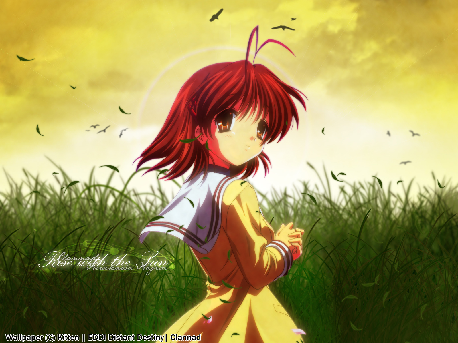 Anime Clannad Wallpaper