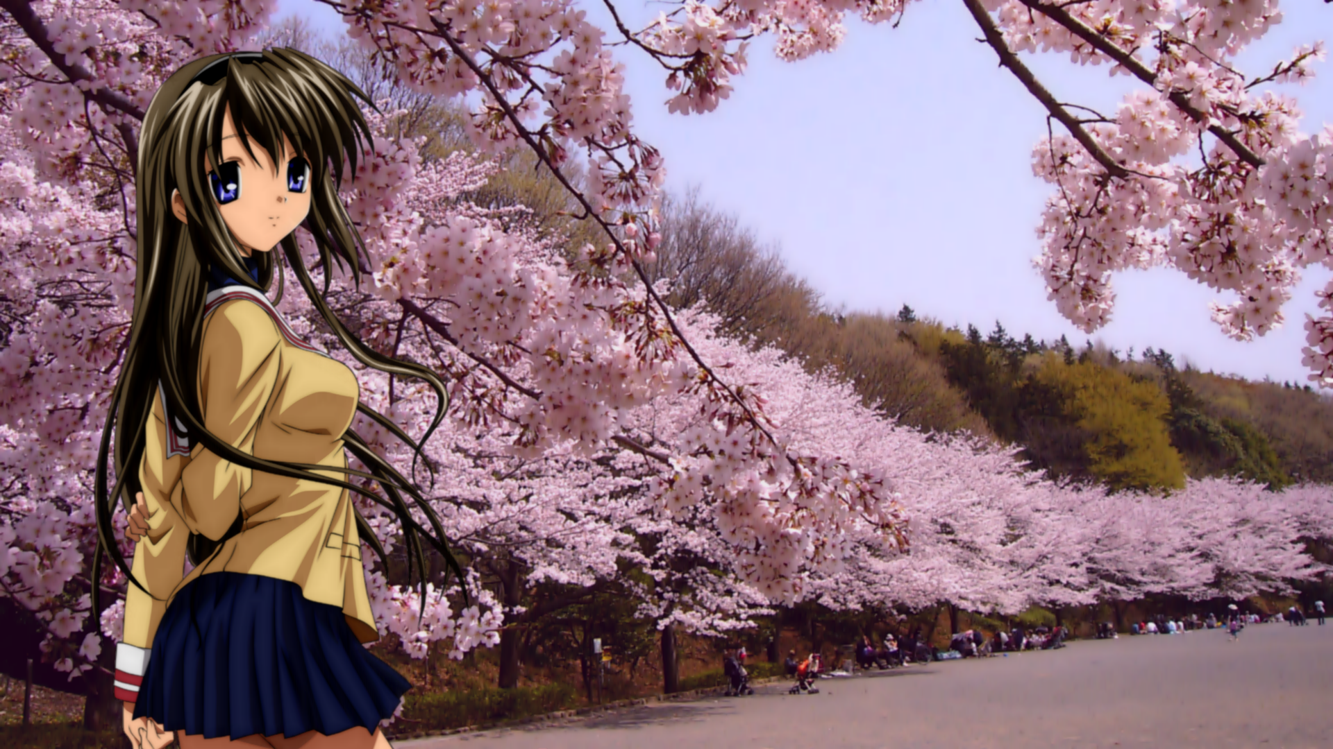 Download Tomoyo Sakagami Anime Clannad HD Wallpaper