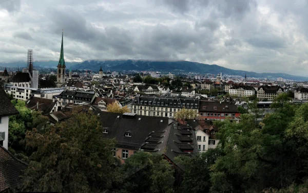  Panoramic View