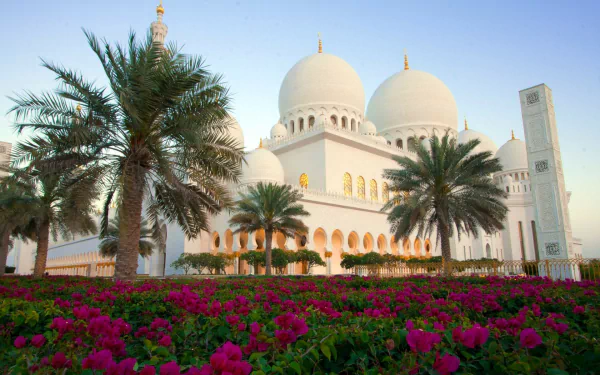 A vibrant scene featuring blooming flowers in front of the Sheikh Zayed Grand Mosque in Abu Dhabi, framed by palm trees against a tranquil sky. A beautiful HD desktop wallpaper.