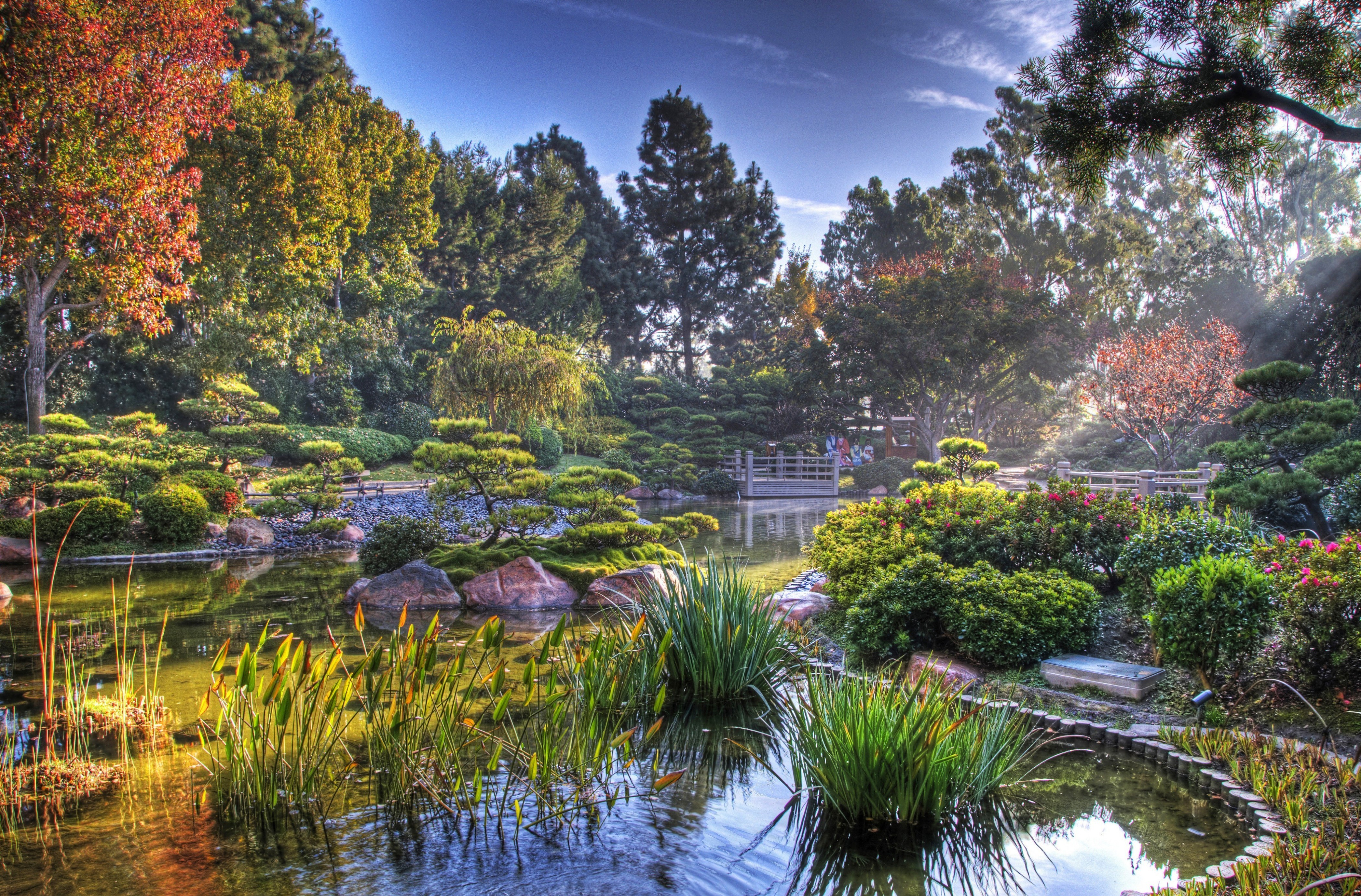 Man Made Japanese Garden HD Wallpaper | Background Image