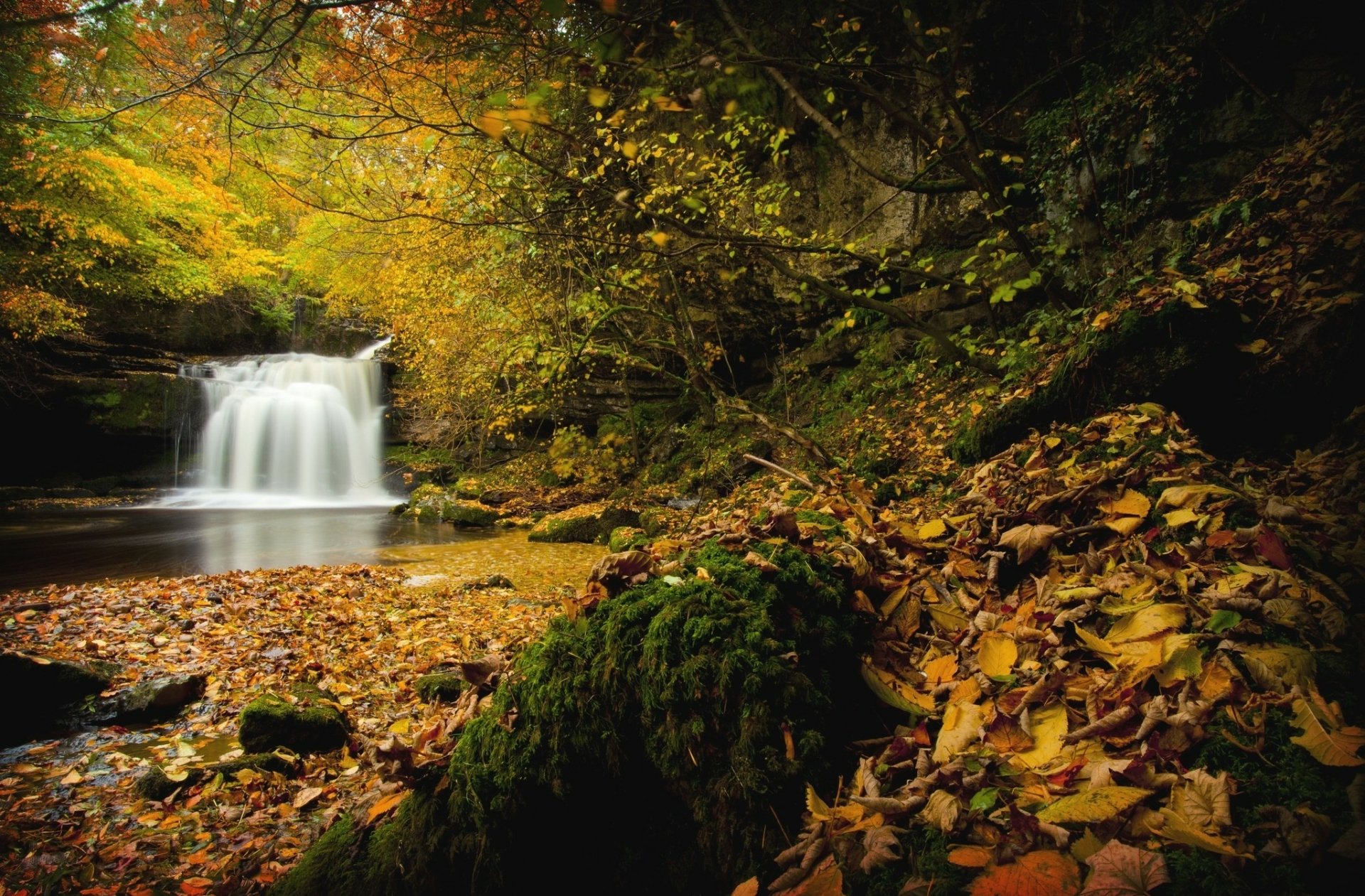 HD PC desktop wallpaper/background showing a fall nature scene: a small waterfall flowing into a calm pool, surrounded by mossy rocks and a carpet of golden autumn leaves.