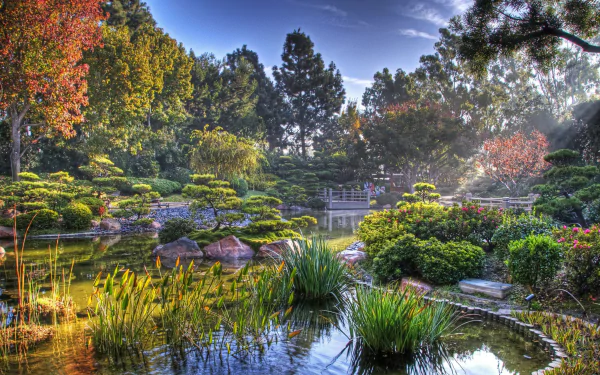 sunbeam zen Japan fall man made japanese garden HD Desktop Wallpaper | Background Image
