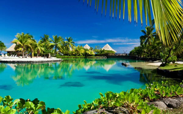 lagoon palm tree tropics photography tropical HD Desktop Wallpaper | Background Image