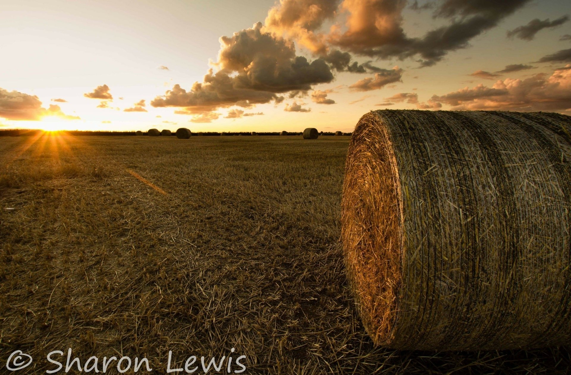 Download Sunset Stubble-field Nature Haystack  HD Wallpaper by Sharon Lewis