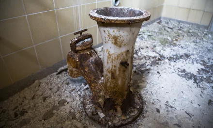  Rusty toilet pipe