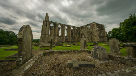 man made Bolton Priory HD Desktop Wallpaper | Background Image