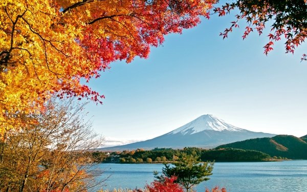 Nature Mount Fuji Volcanoes Fujiyama Leaf Fall Colors Japan HD Wallpaper | Background Image