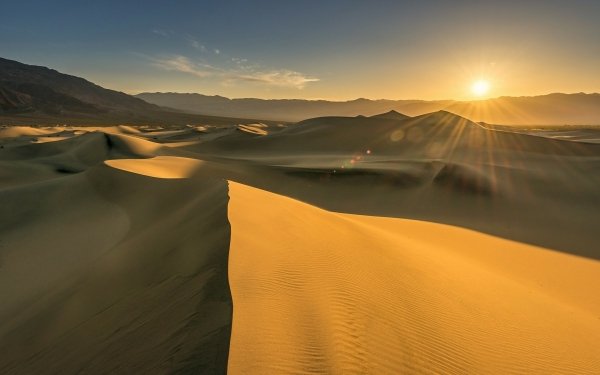 Nature Desert Dune Sunshine HD Wallpaper | Background Image