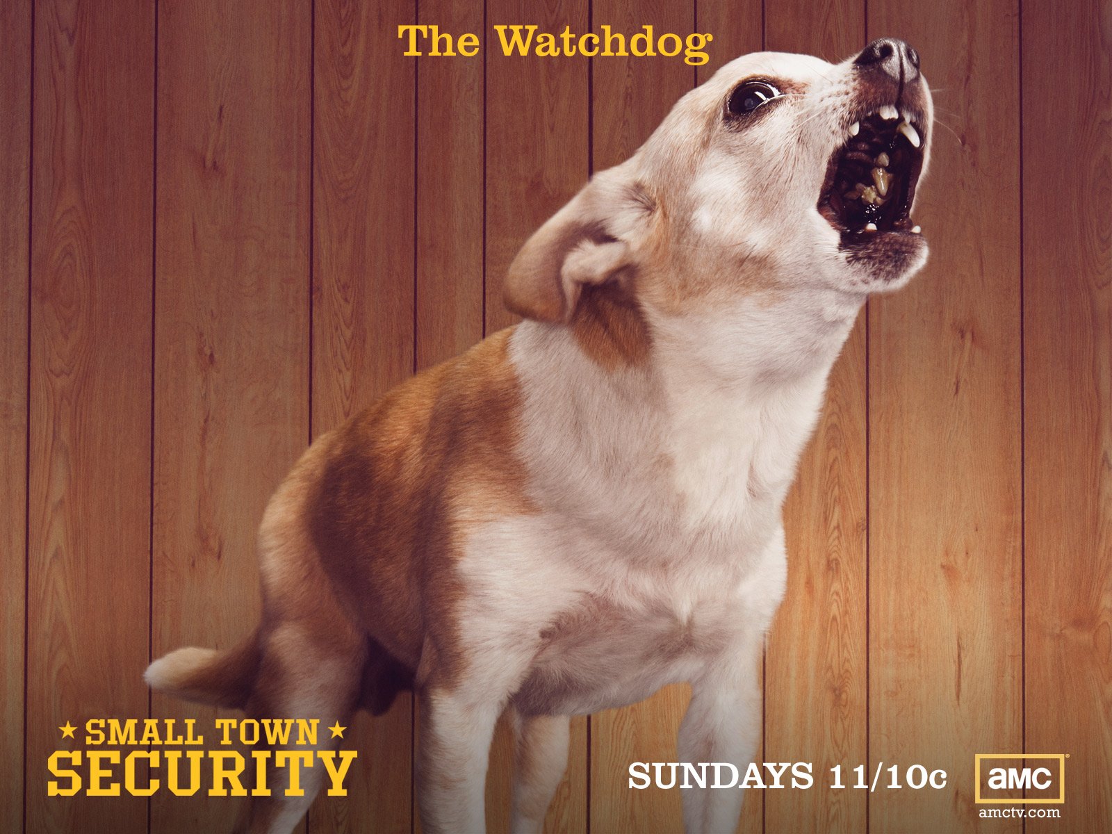 Download Dog Security TV Show Small Town Security Wallpaper