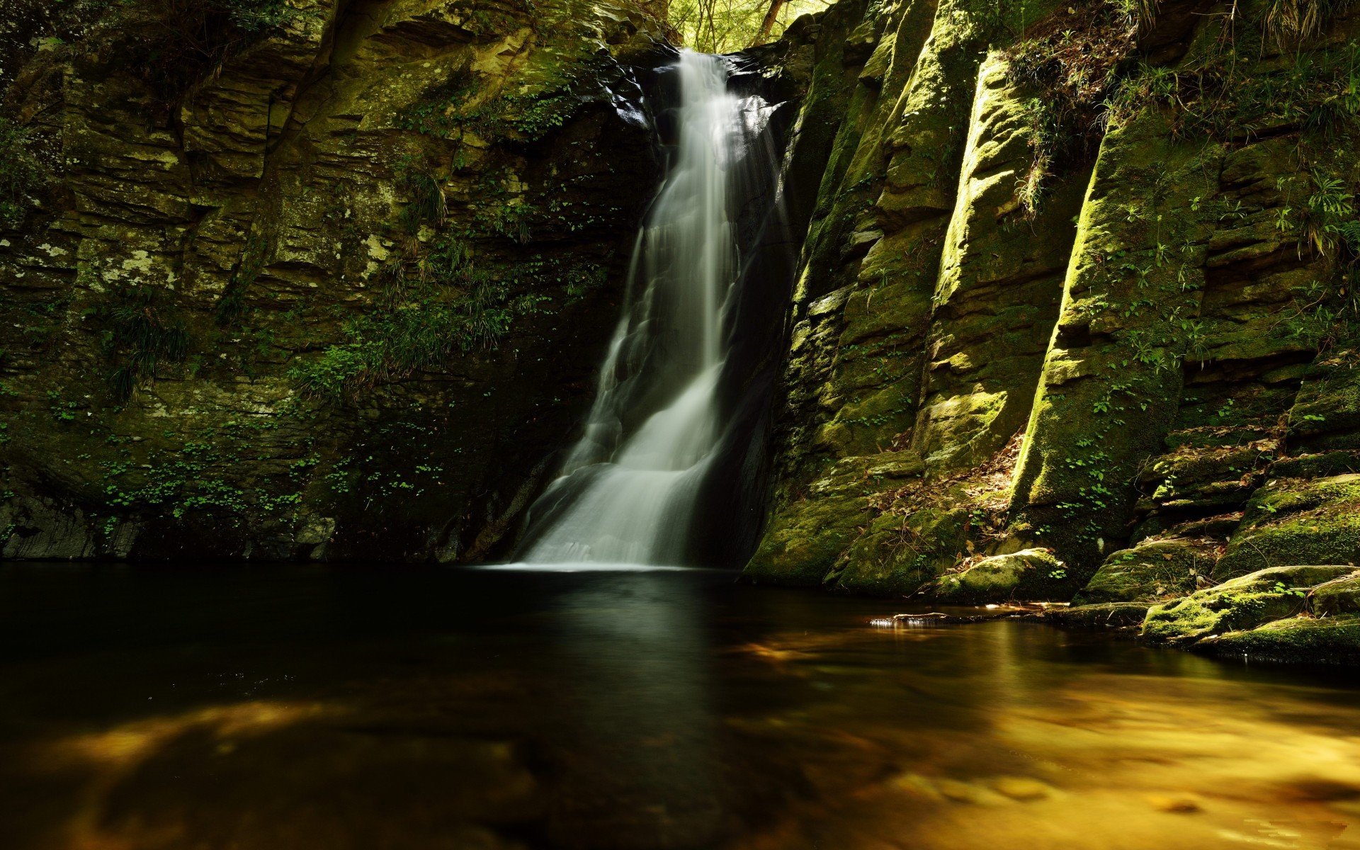 Download Nature Waterfall HD Wallpaper