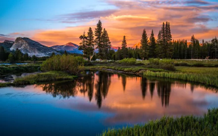 A serene landscape showcasing a calm body of water reflecting vibrant sunset colors, surrounded by lush greenery and towering trees, creating a stunning nature backdrop.