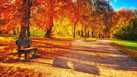A vibrant fall scene featuring a wooden bench along a winding path, surrounded by trees adorned with fiery autumn leaves, captured in stunning HD photography.
