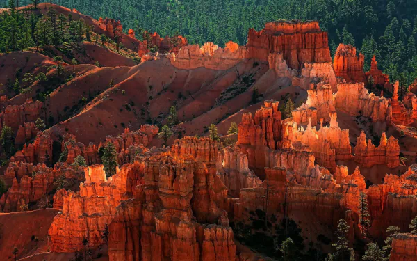 Vibrant red rock formations rise amidst lush forests in Bryce Canyon National Park, Utah, showcasing the stunning beauty of nature in this captivating HD landscape wallpaper.